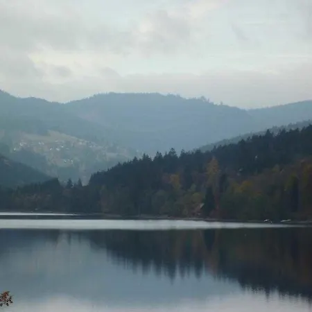 شقة Haus Residenz Am See_ Nr_ 8 تيتيسي نيوستادت